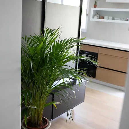 T-one Luxury Pool House Appartement Split